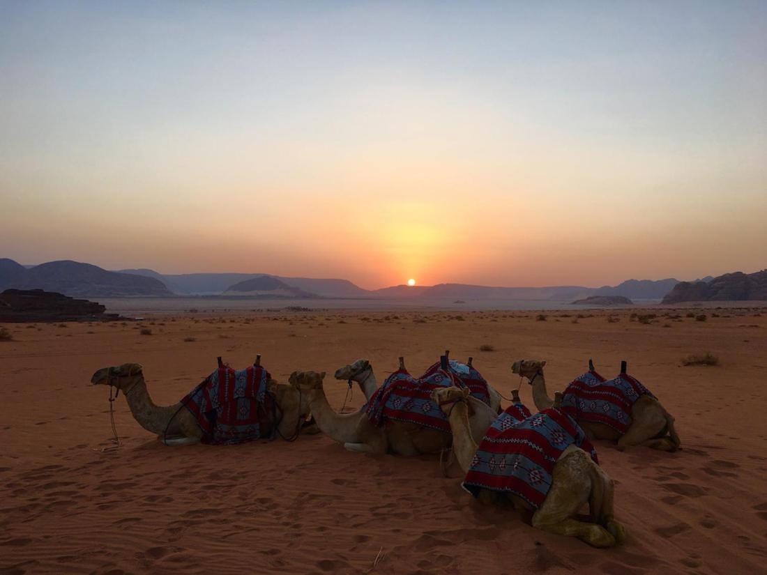 Wadi Rum Ecco Kültér fotó